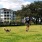 man with his dog in dog park