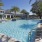 a pool with palm trees around it