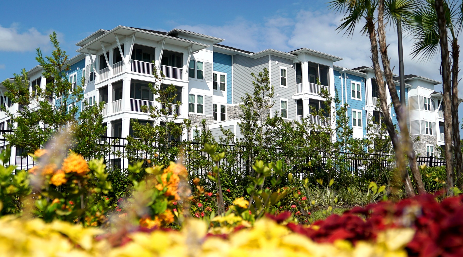 Flower bed next to apartment building