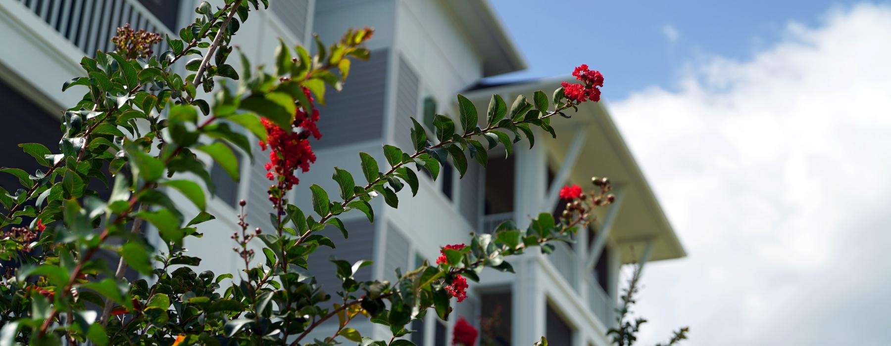 Mystic Pointe Apartments exterior